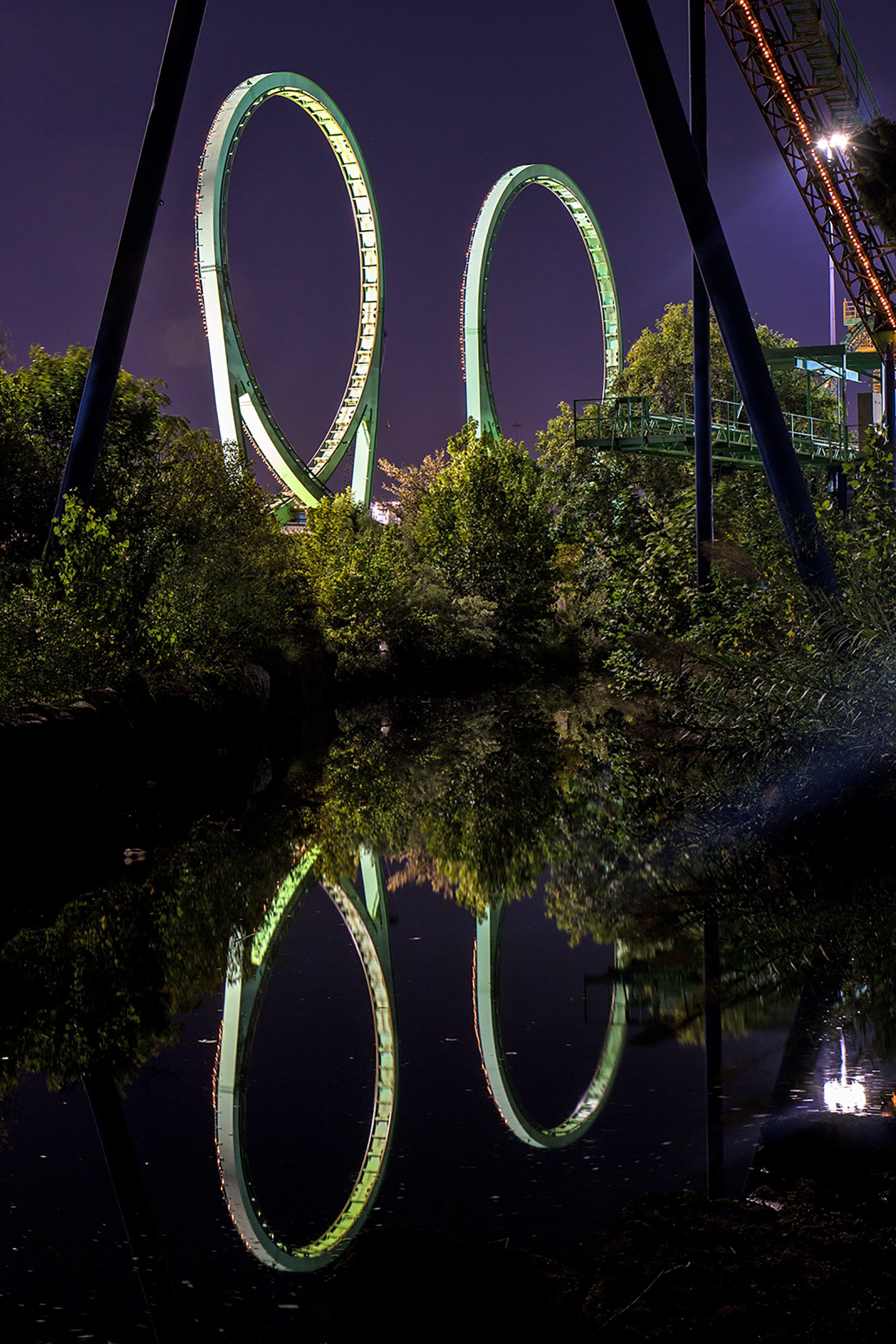 Experience Raw Power: Six Flags' Animal Ride Will Shock You - fvyk4rj
