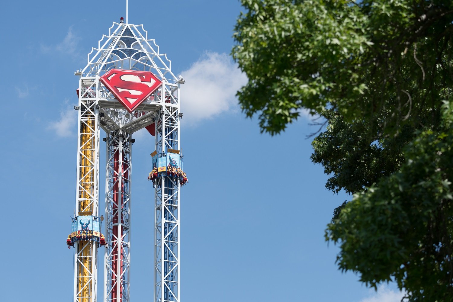 Six Flags Over Texas Superman Accident 2024 Letta Doralia