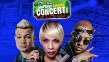 Mega Concierto