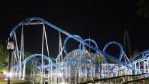 Blue Hawk at Night