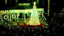 christmas tree lighting