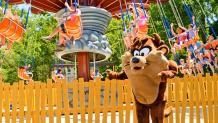 Taz Tornado Swings
