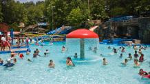 Activity Pool Activity Pool