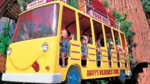 Daffy's Adventure Tours Daffy's Adventure Tours