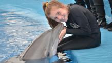 Dolphin Discovery Dolphin Discovery