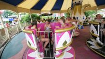 Enchanted Teacups Enchanted Teacups