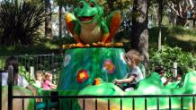 Frog Hopper Frog Hopper