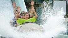 Log Flume Log Flume