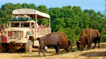 Safari Off Road Adventure Biology Day safari tour