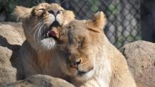 Safari Discovery Day Safari Discovery Day