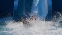 Water Park Slide and Splash Water Park Slide and Splash