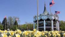 Carousel and Flowers Carousel and Flowers