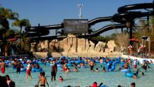 Dive-In Movies