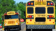 School Buses School Buses