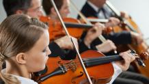 Band - Concert - Cellist and Violinist Band - Concert - Cellist and Violinist
