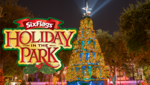 Holiday in the Park Christmas tree lit up at night