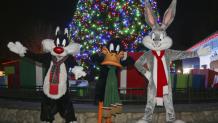 Holiday themed <em>Looney Tunes</em>™ characters