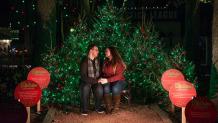 Couple by mistletoe