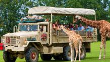 Safari Off Road Adventure during Spring Break