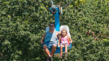 Soaring Eagle