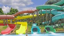 Slides Slides