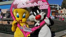 <em>Tweety</em>™ and <em>Sylvester</em>™ on Valentine's Day