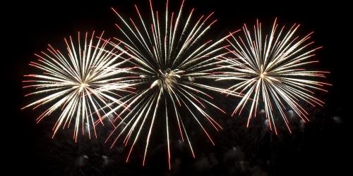 Fireworks in the night sky