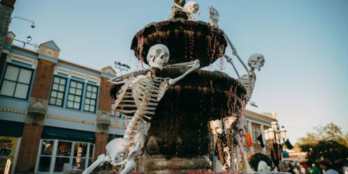skeleton