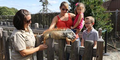 Family petting iguana