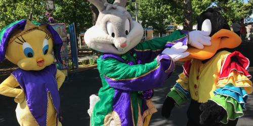 Bugs taking the spotlight