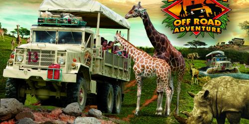 Picture of safari vehicle with giraffes and other animals surrounding