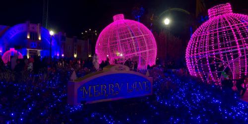 merry lane at holiday in the park
