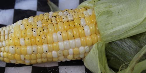 Corn on the Cob