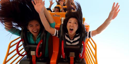 loop coaster riders