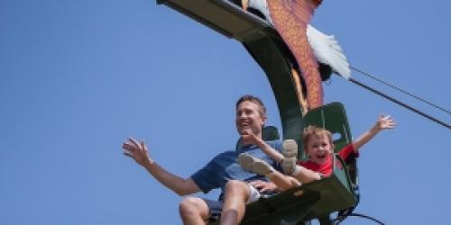 Soaring Eagle