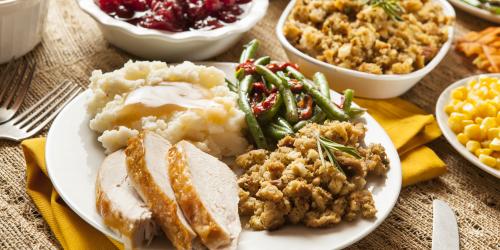 Turkey and stuffing with green beans and cranberry sauce.