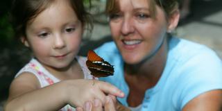 Girl with butterfly inside Butterfly Habitat
