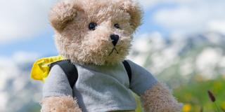 Stuffed Toy - Hiking Teddy Bear Stuffed Toy - Hiking Teddy Bear