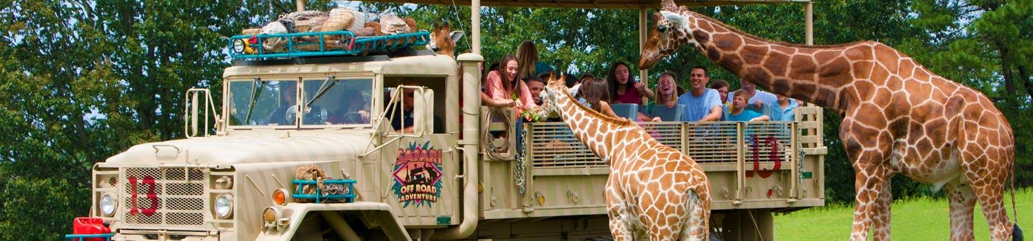 Safari Off Road Adventure | Six Flags