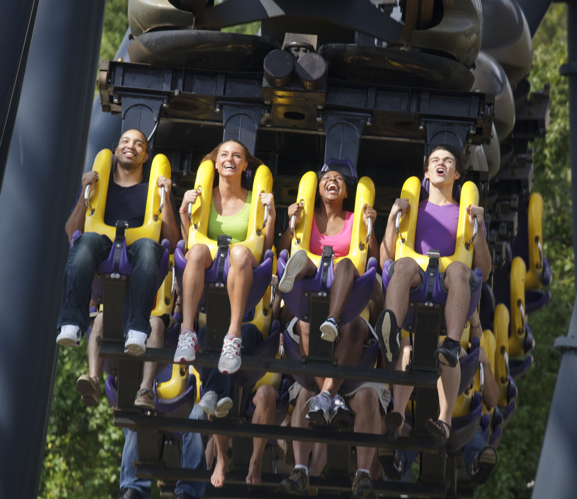 Six Flags Membership Portal - sldown5